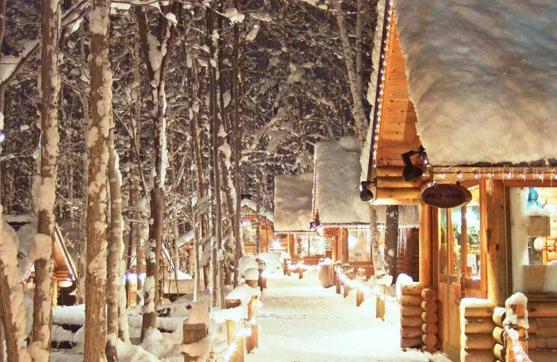 Hokkaido Winter Private Tour